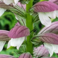 Front Page -UK Garden Supplies Sales Shop 20170109110343