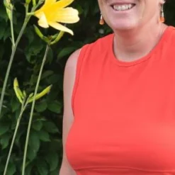 HEMEROCALLIS 'High Tor' -UK Garden Supplies Sales Shop hemerocallis high tor 6260824